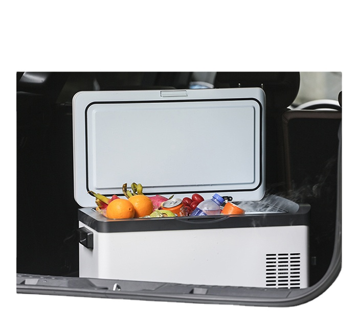 Frigorifero Portatile Elettric - Outdoor Camping Fridge recensione e prezzo
