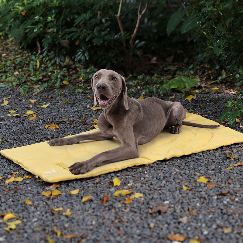Tappetino per animali domestic - Outdoor Camping Rug Waterproof recensione e prezzo