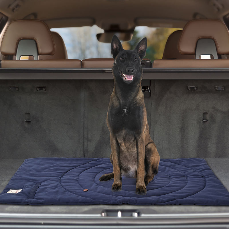 Tappetino per animali domestic - Outdoor Camping Rug Waterproof recensione e prezzo